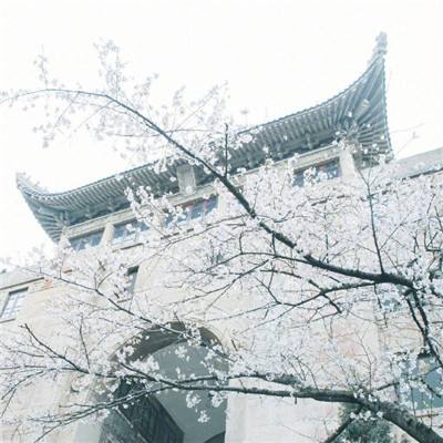 2023年度上海法院金融商事审判十大案例发布